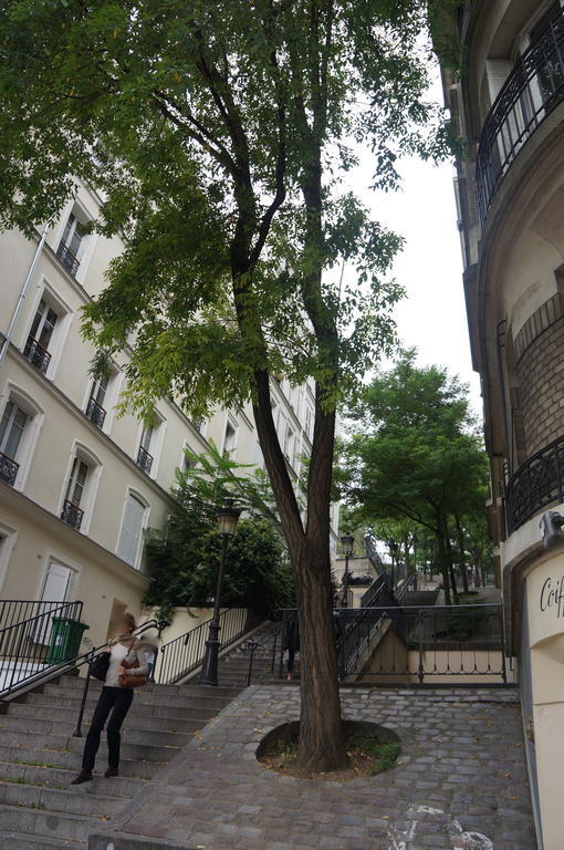 Studios De Charme A Montmartre Paris Luaran gambar